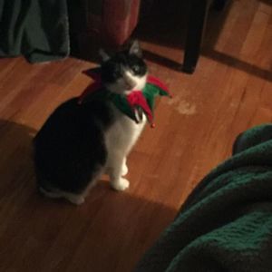 Meet your Posher, John